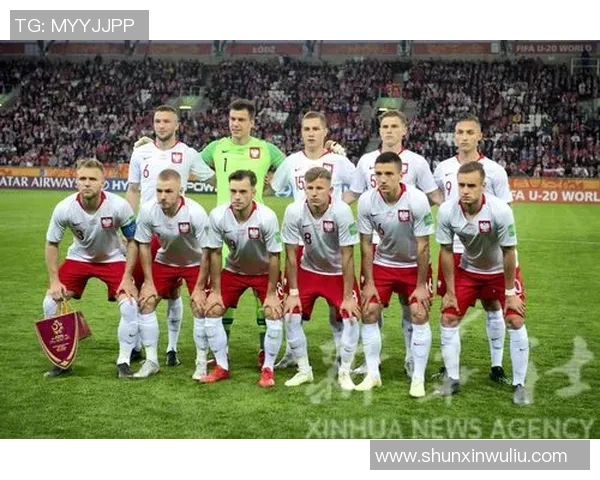 波兰与爱尔兰足球对决精彩视频回顾与精彩瞬间分析