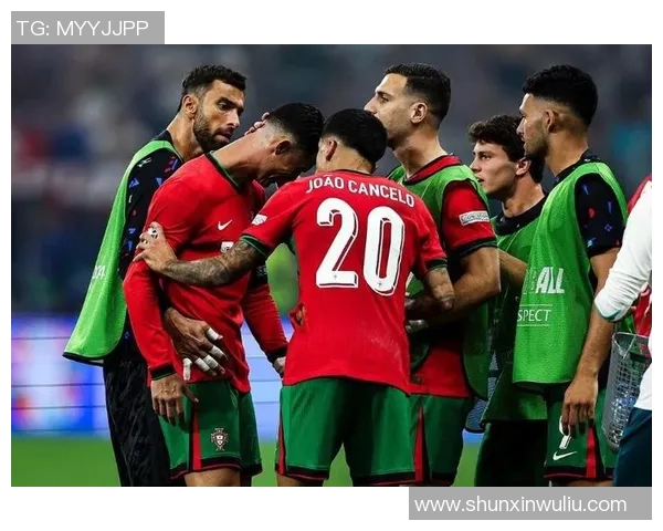 欧洲杯：斯洛文尼亚队黯然告别欧洲杯