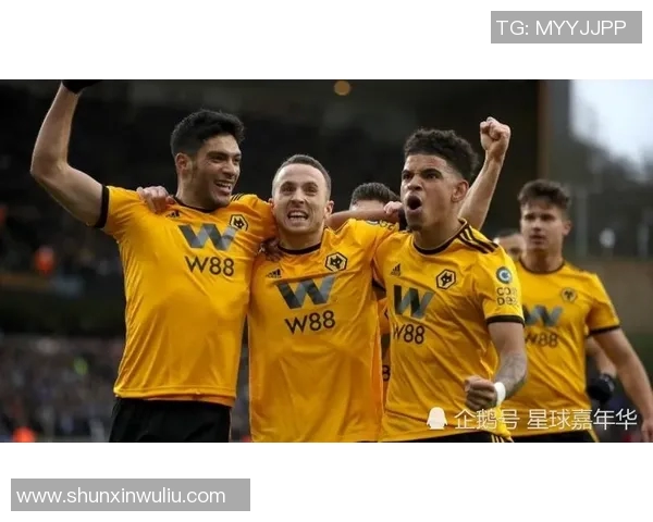 加的夫城与狼队对决前瞻分析球队状态战术布置及关键球员表现