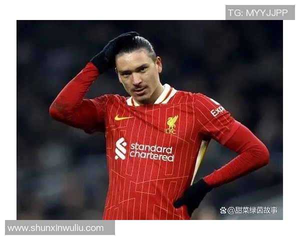 努涅斯的崛起与挑战：解析这位新星在足球世界中的影响力与未来潜力