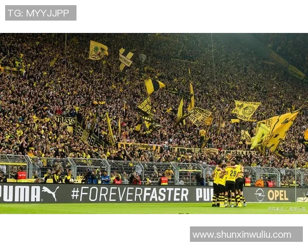 欧冠决赛温布利草坪质量问题引发球员集体不满与争议