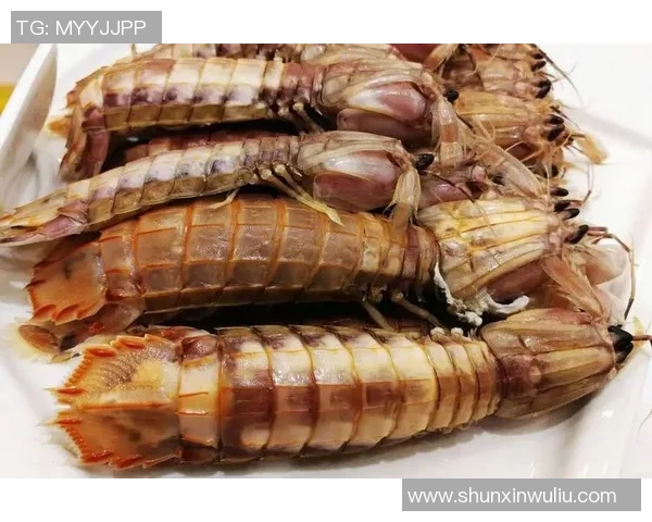 皮皮虾足球比赛精彩直播回放与赛况分析全方位呈现