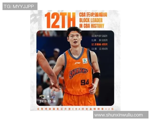王哲林在CBA赛场的崛起与挑战解析：从新星到领军人物的成长之路