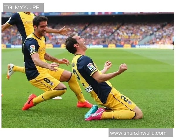 猛龙球迷：铁血战斗精神的传承与支持