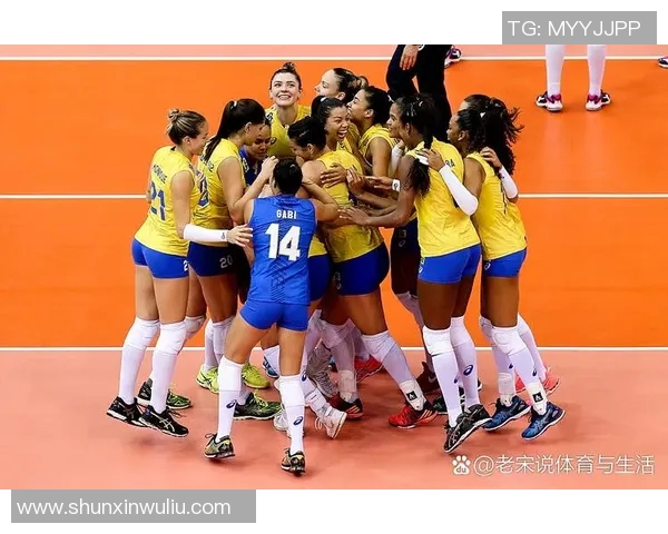 女排对决巴西与荷兰精彩瞬间回顾与战术分析