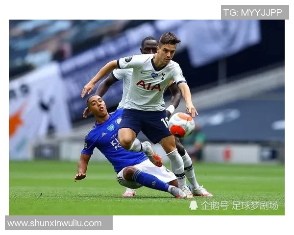 菜切城与纽卡斯的激烈对决谁能在英超赛场上笑到最后